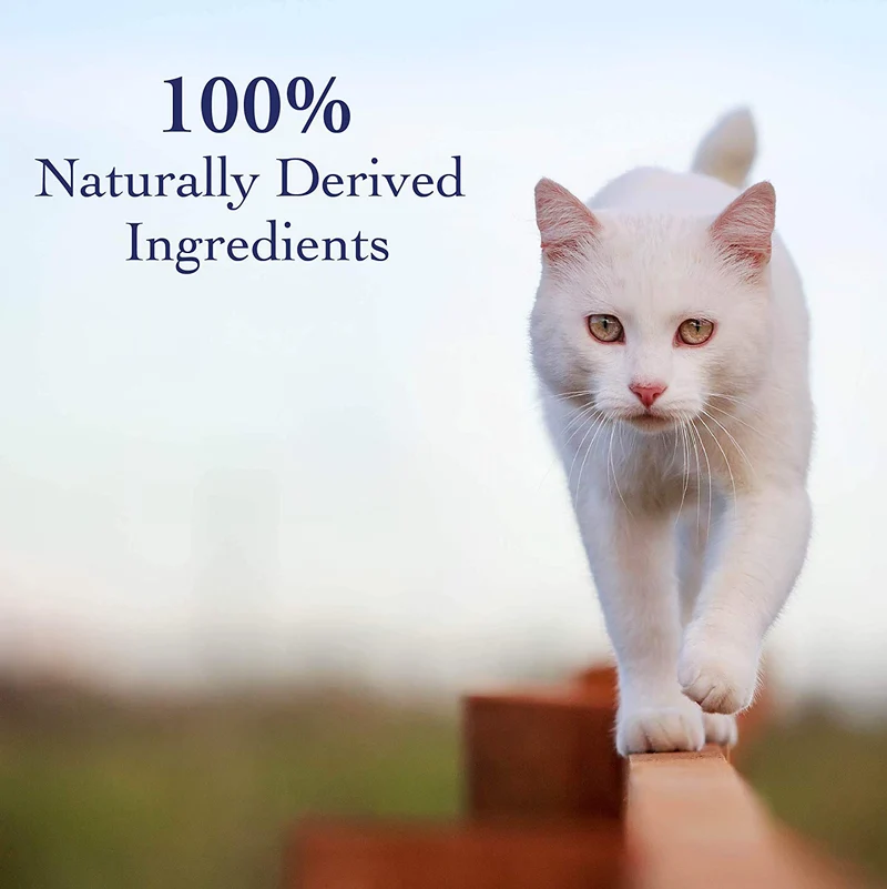 synergylabs Organics Pasta de nutrientes para gatos de Richard; 4,25 oz.