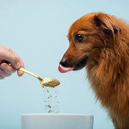 The Missing Link Supplements with Balanced Omegas and Heart Healthy Fresh Ground Flaxseed in Unique Formulas: Hip & Joint, Skin & Coat, Senior, Puppy & Overall Health – All Natural & Non-GMO
