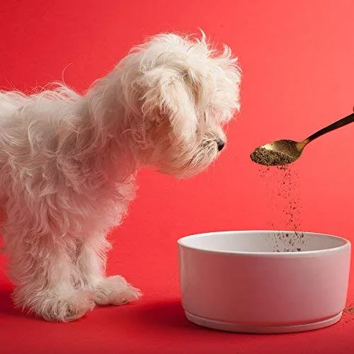 The Missing Link Supplements with Balanced Omegas and Heart Healthy Fresh Ground Flaxseed in Unique Formulas: Hip & Joint, Skin & Coat, Senior, Puppy & Overall Health – All Natural & Non-GMO