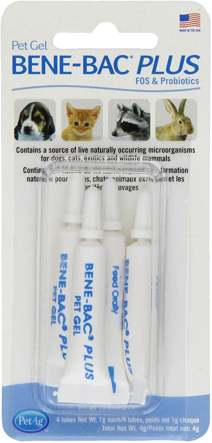 bene-bac pájaro Plus prebiótica Gel