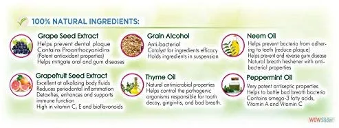PetzLife Peppermint Oral Care Gel