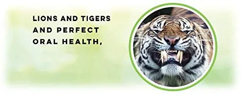 PetzLife Peppermint Oral Care Gel
