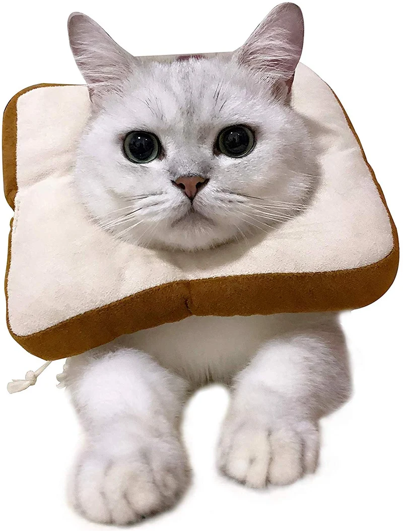 USAMS Collar ajustable para recuperación de gatos, lindo cono de cuello después de la cirugía, curación de heridas, recuperación de cirugía cono Elizabethan collares, borde suave para gatitos y gatos (1 paquete)