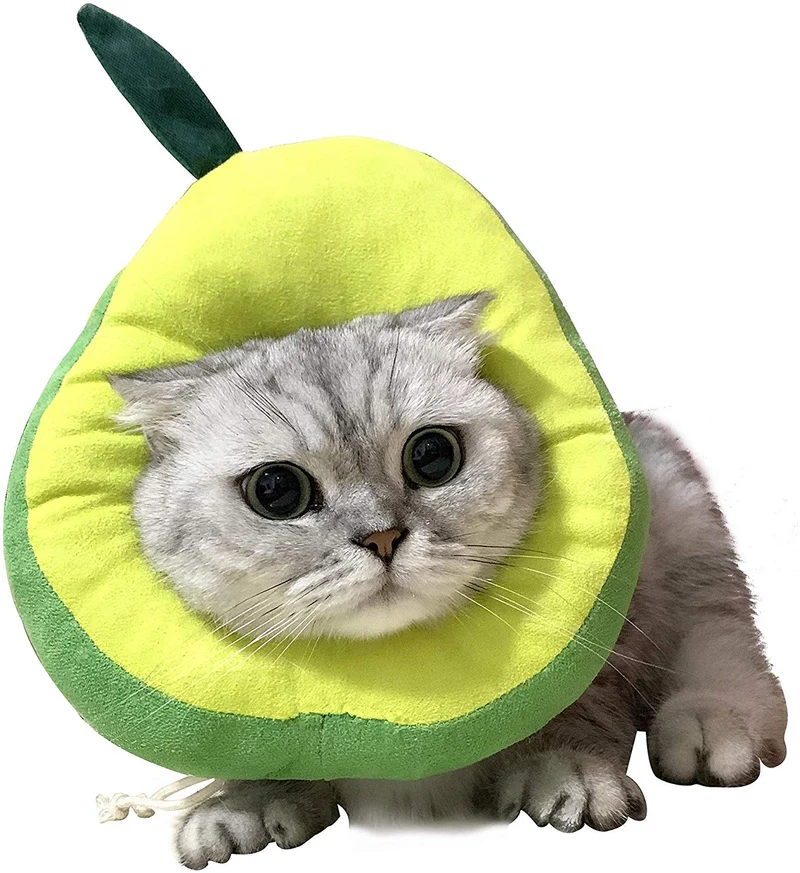 USAMS Collar ajustable para recuperación de gatos, lindo cono de cuello después de la cirugía, curación de heridas, recuperación de cirugía cono Elizabethan collares, borde suave para gatitos y gatos (1 paquete)