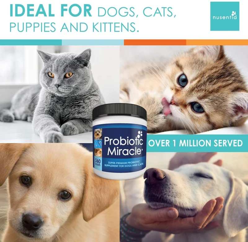 nusentia Probiotics Probiotico milagro Premium Fórmula para Wellness de apoyo para perros y gatos, 44 Gramos de polvos 120 Raciones