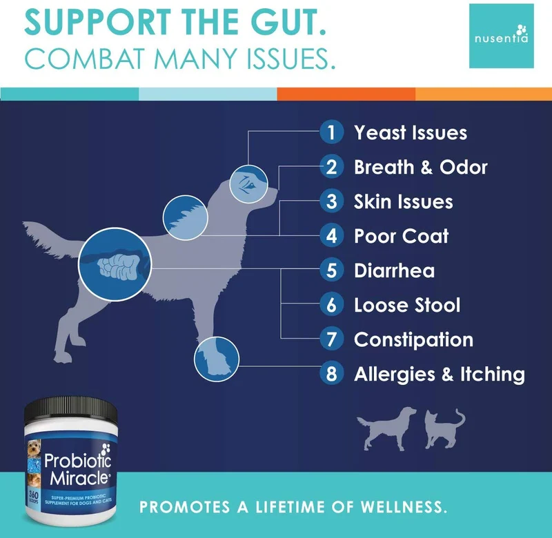 nusentia Probiotics Probiotico milagro Premium Fórmula para Wellness de apoyo para perros y gatos, 44 Gramos de polvos 120 Raciones