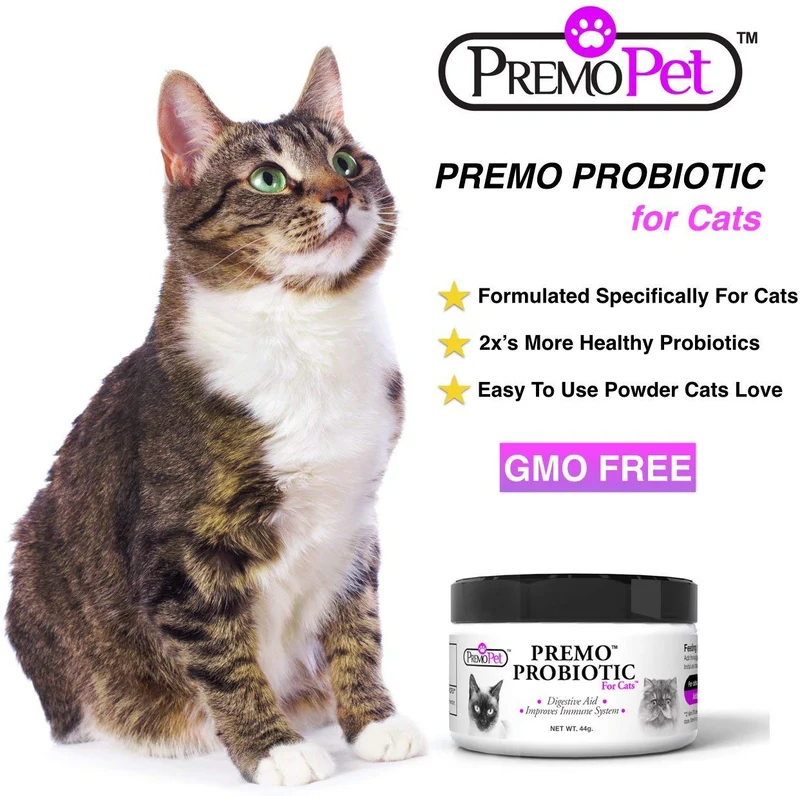 Probiotics para gatos – 100% de garantía – Mejores Condiciones para Diarrea, Vómito, Gas, piel – tasteless – No Fillers – Non OMG – Trigo y Lácteos Free – Certificado GMP – Veterinario Aprobado