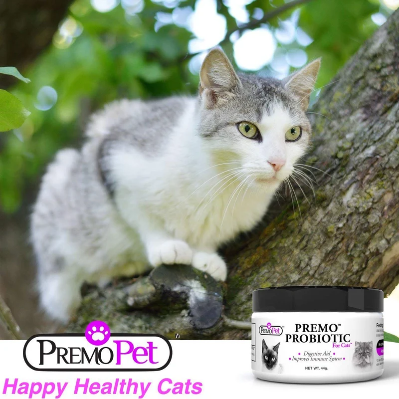Probiotics para gatos – 100% de garantía – Mejores Condiciones para Diarrea, Vómito, Gas, piel – tasteless – No Fillers – Non OMG – Trigo y Lácteos Free – Certificado GMP – Veterinario Aprobado