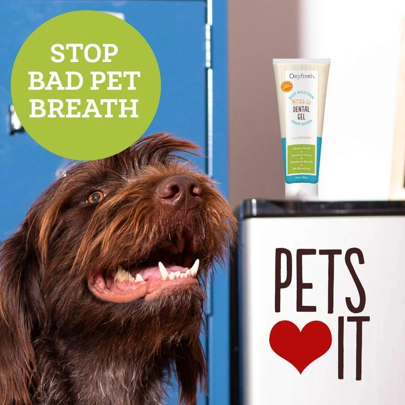 oxyfresh Pet con oxygene – Soothing, Gel de enfriamiento de gel para puntos calientes, Rash y prurito – Pasta de dientes para perros y gatos – Caja perfecta para Oral y uso externo – fabricado en los Estados Unidos