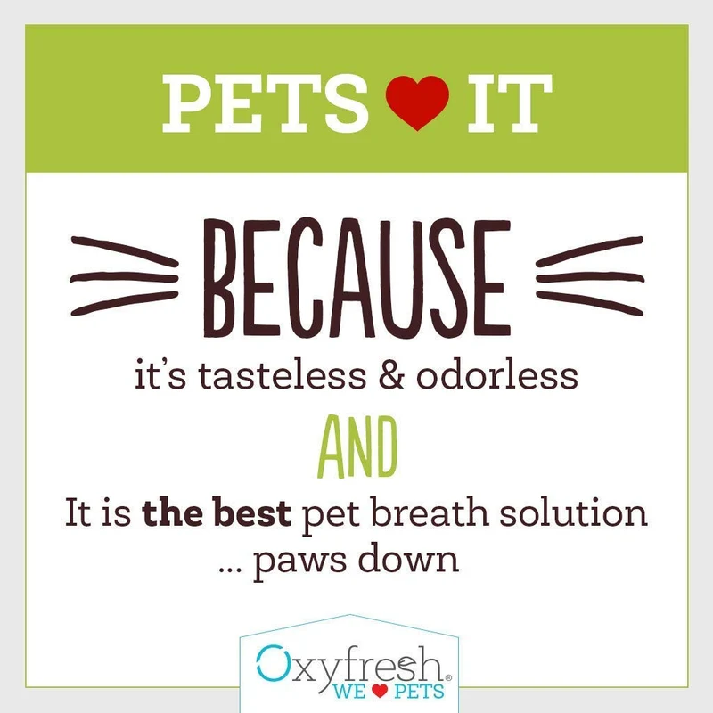 oxyfresh Pet con oxygene – Soothing, Gel de enfriamiento de gel para puntos calientes, Rash y prurito – Pasta de dientes para perros y gatos – Caja perfecta para Oral y uso externo – fabricado en los Estados Unidos