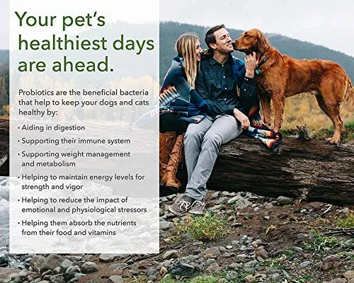 Probióticos PRO-Pets para perros y gatos: Probiótico de liberación del tiempo para la salud de su compañero (perro o gato) – Muy fácil de tragar – 6 colas – 15 veces más supervivencia que otros – suplemento superior para mascotas
