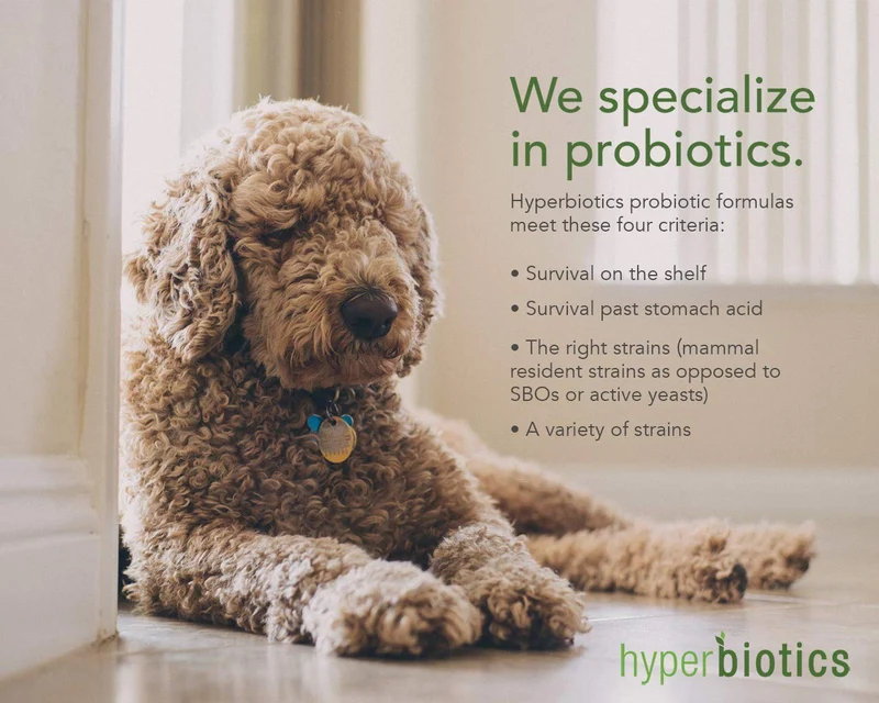 Probióticos PRO-Pets para perros y gatos: Probiótico de liberación del tiempo para la salud de su compañero (perro o gato) – Muy fácil de tragar – 6 colas – 15 veces más supervivencia que otros – suplemento superior para mascotas