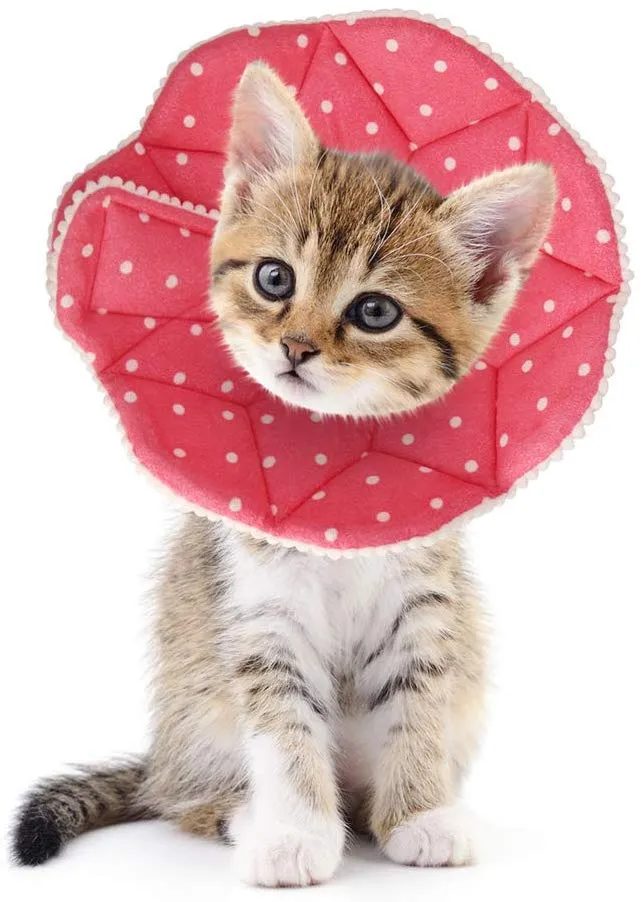 SLSON Collar de recuperación para gato, suave collar de cono para mascotas, protector para después de cirugía, de algodón, cierre ajustable, collar para gato y cachorro, color rosa