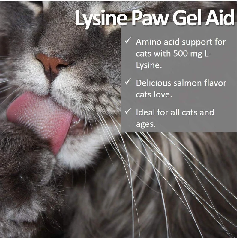 Veterinario digno Lisina canina Gel ayuda para gatos (3 oz)