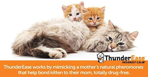 ThunderEase Multicat - Recambio de difusor de feromona calmante para reducir el conflicto, la tensión y la lucha de los gatos