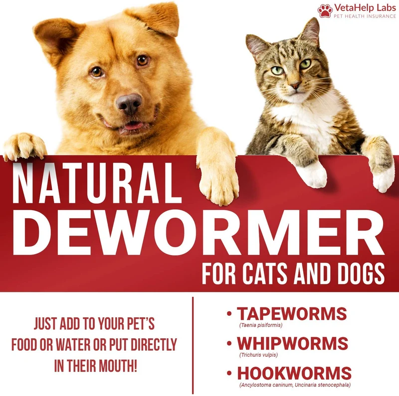 DEW0RMER para perros y gatos (2 oz) – Treat & Prevent – Amplio espectro WHIPW0RM, H00KW0RM, R0UNDW0RM & TAPEW0RM DEW0RMER – Hecho en Estados Unidos – Natural Potente mezcla – Mascotas Senior, Gatito y Cachorro DEW0RMER
