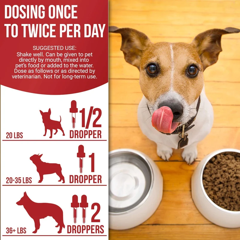 DEW0RMER para perros y gatos (2 oz) – Treat & Prevent – Amplio espectro WHIPW0RM, H00KW0RM, R0UNDW0RM & TAPEW0RM DEW0RMER – Hecho en Estados Unidos – Natural Potente mezcla – Mascotas Senior, Gatito y Cachorro DEW0RMER