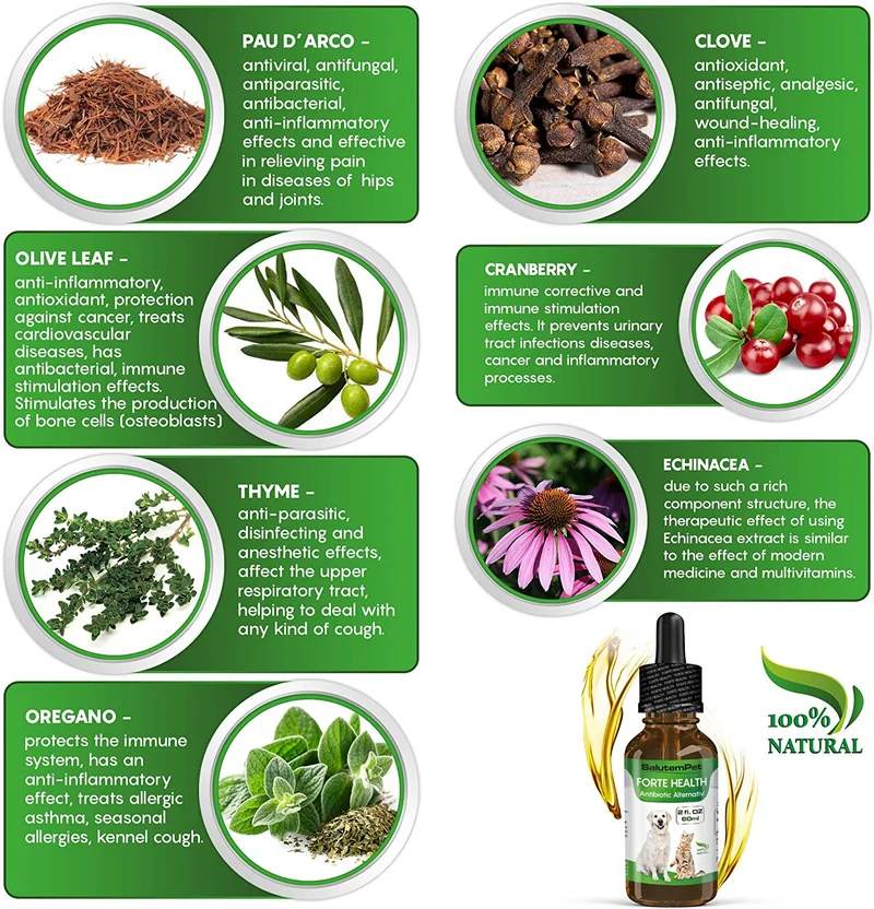 Herbal Alternative Medicine/Fast Imunne Activator/Broad-Spectrum Drops for Pets/Natural Pet Supplement Premium Quality/Natural Treatment with PAU D'Arco, Cranberry, Clove, Olive Leaf, Echinace