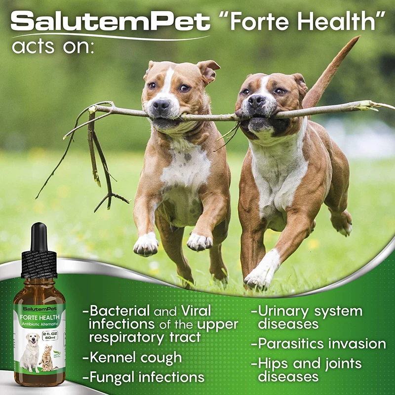 Herbal Alternative Medicine/Fast Imunne Activator/Broad-Spectrum Drops for Pets/Natural Pet Supplement Premium Quality/Natural Treatment with PAU D'Arco, Cranberry, Clove, Olive Leaf, Echinace