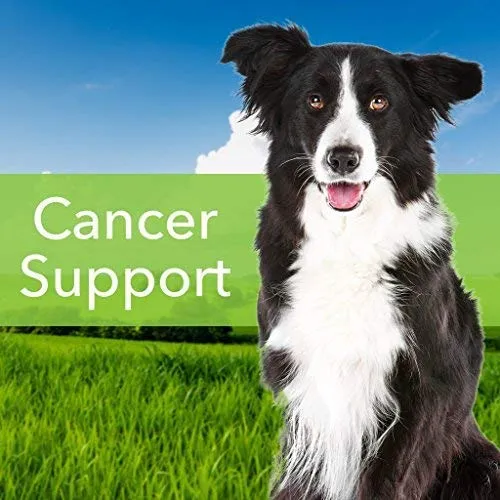 Suplemente Life Gold para perros y gatos de Pet Wellbeing, suplemento natural del cáncer para perros y gatos, 2 onzas