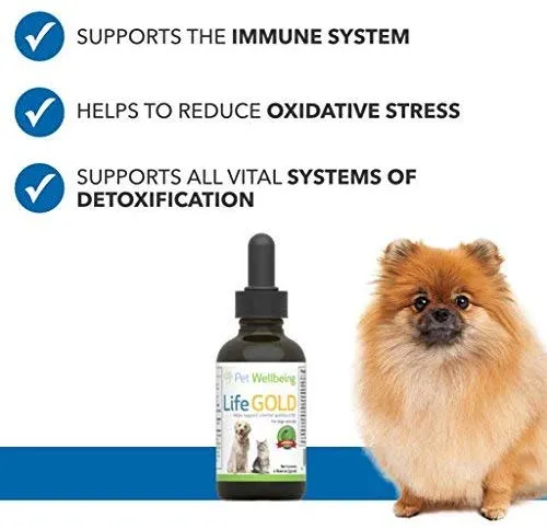 Suplemente Life Gold para perros y gatos de Pet Wellbeing, suplemento natural del cáncer para perros y gatos, 2 onzas