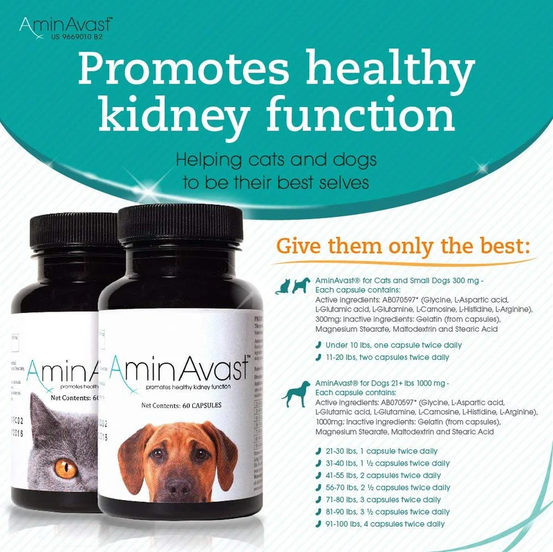 AminAvast Suplemento de apoyo renal para gatos y perros, 300 mg, promueve y apoya la función natural del riñón, 60 cápsulas espolvoreadoras