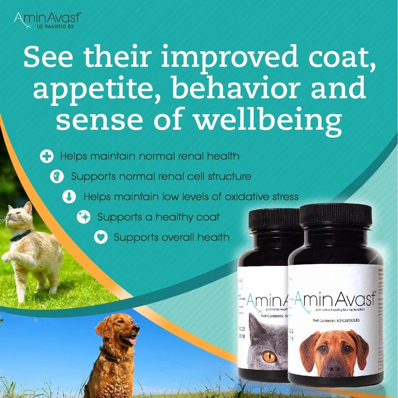 AminAvast Suplemento de apoyo renal para gatos y perros, 300 mg, promueve y apoya la función natural del riñón, 60 cápsulas espolvoreadoras