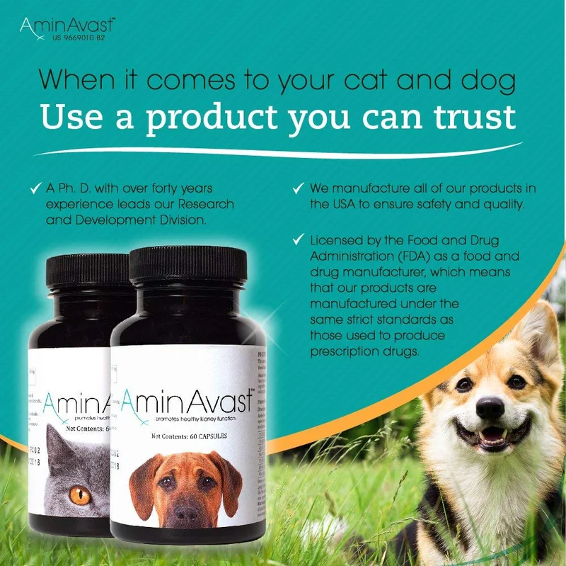 AminAvast Suplemento de apoyo renal para gatos y perros, 300 mg, promueve y apoya la función natural del riñón, 60 cápsulas espolvoreadoras