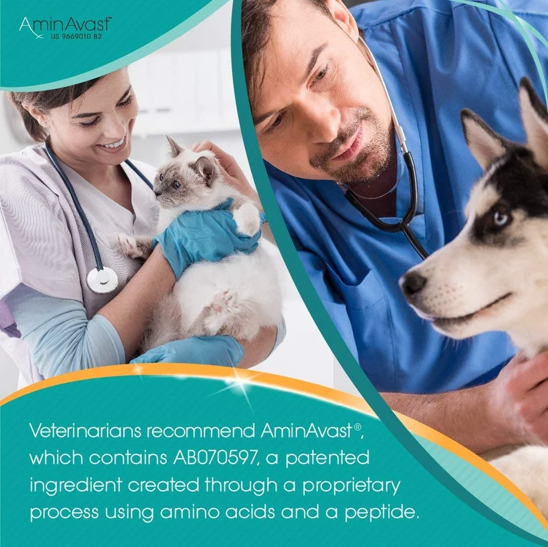 AminAvast Suplemento de apoyo renal para gatos y perros, 300 mg, promueve y apoya la función natural del riñón, 60 cápsulas espolvoreadoras