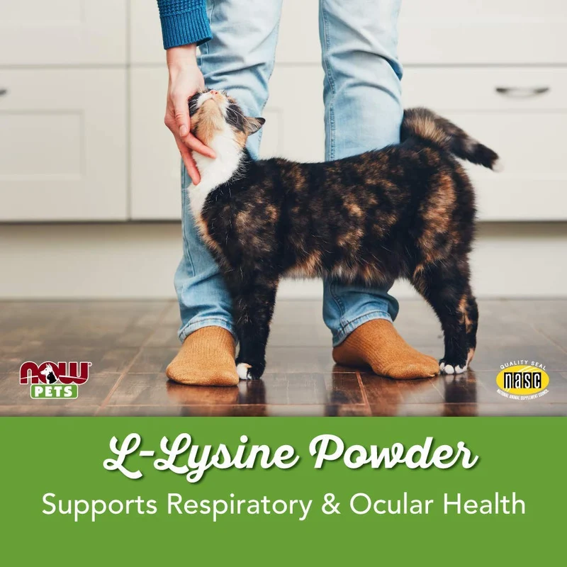 Now Pet Health, suplemento de lisina, en polvo, formulado para gatos, certificado por la NASC, 8 onzas