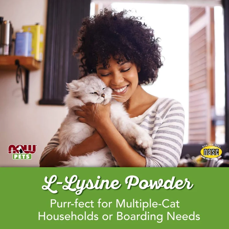 Now Pet Health, suplemento de lisina, en polvo, formulado para gatos, certificado por la NASC, 8 onzas