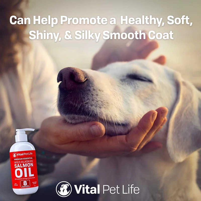 Aceite de salmón para perros, gatos y caballos, aceite de pescado Omega 3 Suplemento alimenticio para mascotas, Wild Alaskan 100% natural, ayuda a la piel seca, alergias y articulaciones, promueve un abrigo saludable, ayuda a la inflamación, 8 oz