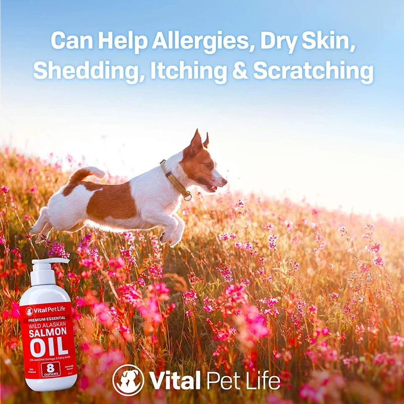 Aceite de salmón para perros, gatos y caballos, aceite de pescado Omega 3 Suplemento alimenticio para mascotas, Wild Alaskan 100% natural, ayuda a la piel seca, alergias y articulaciones, promueve un abrigo saludable, ayuda a la inflamación, 8 oz