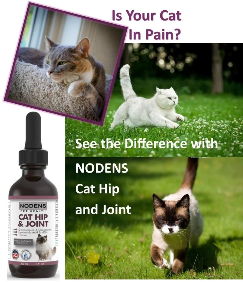 Gato de la cadera y conjunta glucosamina para gatos con Chondroitin y Opti-Msm ácido hialurónico para mayor flexibilidad de conjunta y el dolor alivio de la Inflamación y Artritis 2 floz