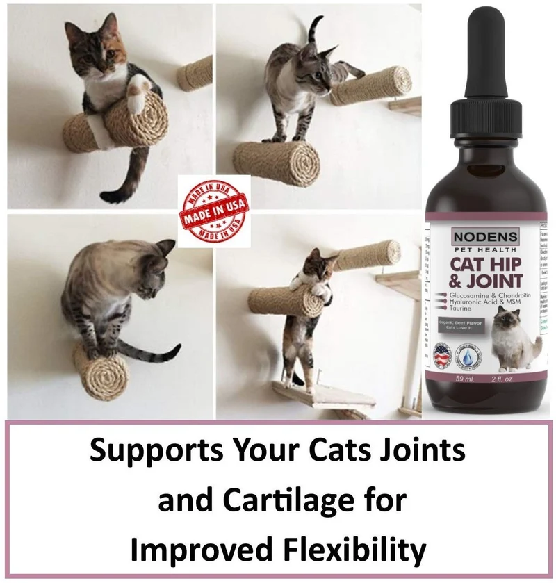 Gato de la cadera y conjunta glucosamina para gatos con Chondroitin y Opti-Msm ácido hialurónico para mayor flexibilidad de conjunta y el dolor alivio de la Inflamación y Artritis 2 floz