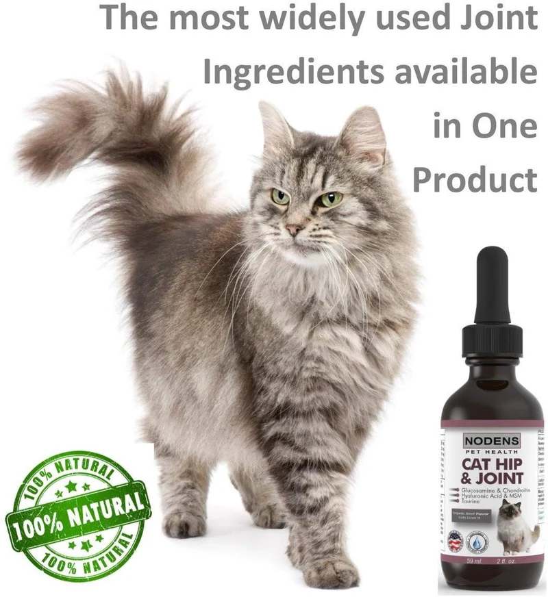 Gato de la cadera y conjunta glucosamina para gatos con Chondroitin y Opti-Msm ácido hialurónico para mayor flexibilidad de conjunta y el dolor alivio de la Inflamación y Artritis 2 floz