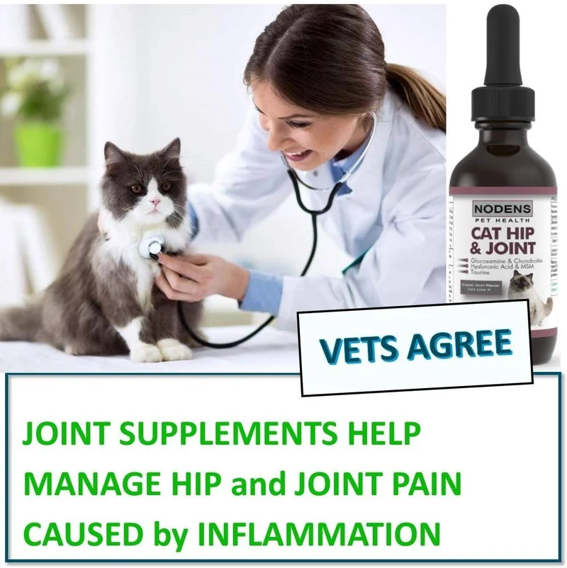 Gato de la cadera y conjunta glucosamina para gatos con Chondroitin y Opti-Msm ácido hialurónico para mayor flexibilidad de conjunta y el dolor alivio de la Inflamación y Artritis 2 floz