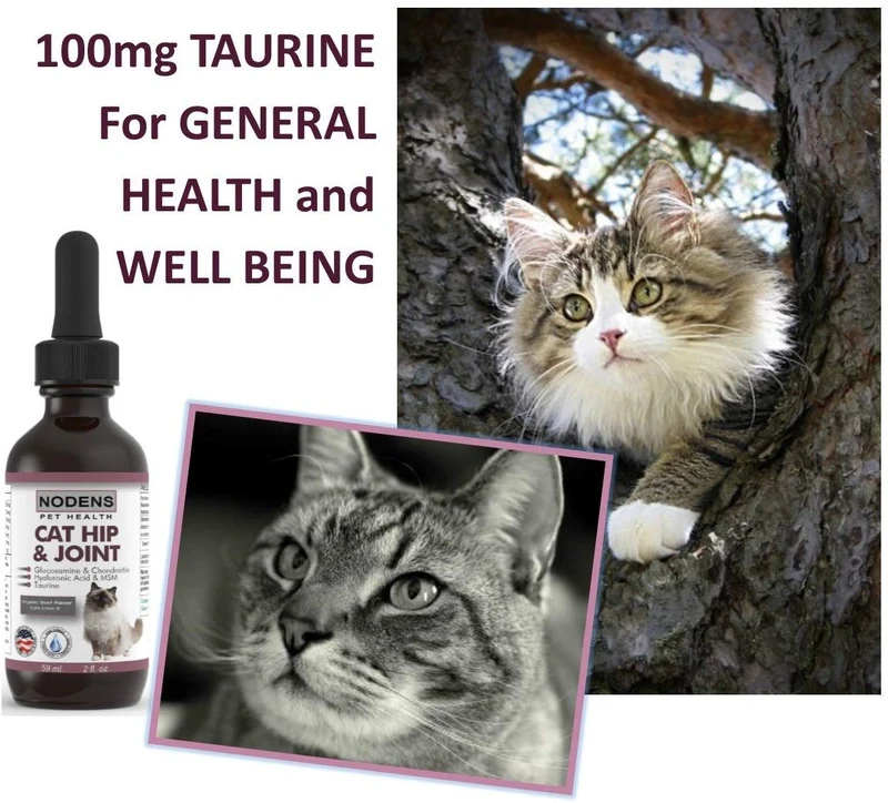 Gato de la cadera y conjunta glucosamina para gatos con Chondroitin y Opti-Msm ácido hialurónico para mayor flexibilidad de conjunta y el dolor alivio de la Inflamación y Artritis 2 floz