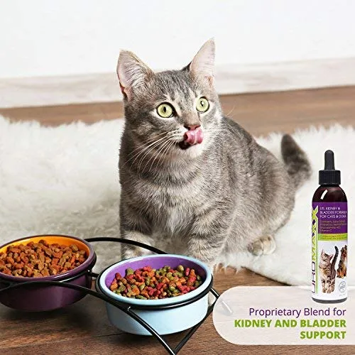 UroMAXX Urinaria Tract, Kidney & Bladder Fórmula para gatos y perros 6oz