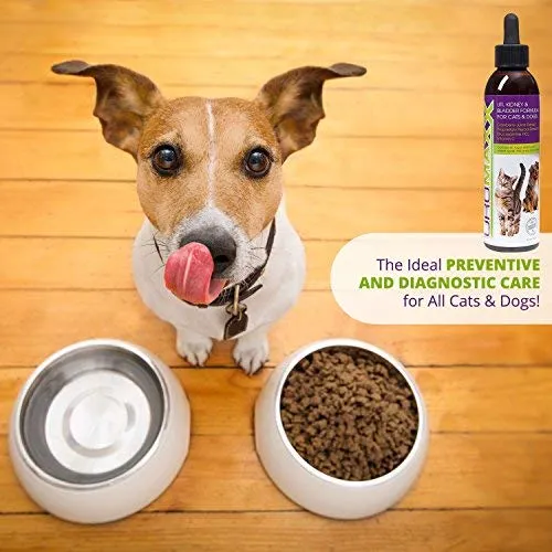 UroMAXX Urinaria Tract, Kidney & Bladder Fórmula para gatos y perros 6oz