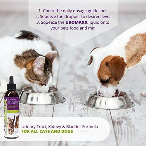 UroMAXX Urinaria Tract, Kidney & Bladder Fórmula para gatos y perros 6oz