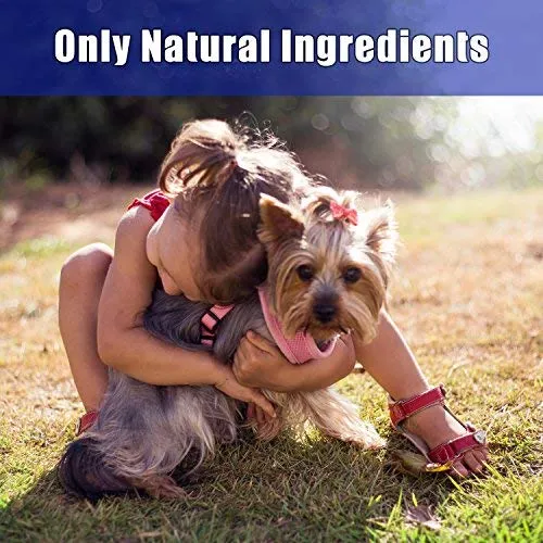 Toallitas de ojos para mascotas Arava – para perros, gatos, cachorros y gatitos – 100 unidades – Natural y aromaterapia medicada – Elimina la suciedad y la descarga – Evita las manchas de desgarro y las irritaciones – Suave y suave