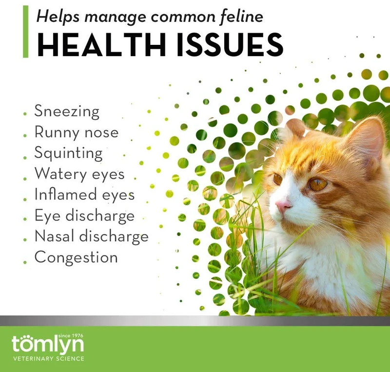 Suplemento inmunitario Tomlyn de L-Lisina en polvo para gatos, 0.22 libras.