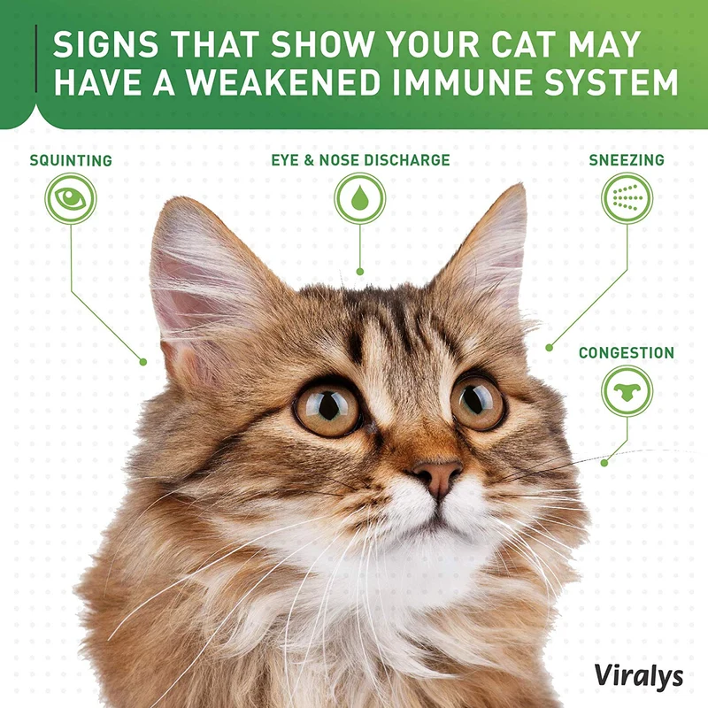Gel oral para gatos Viralys, 5 onzas