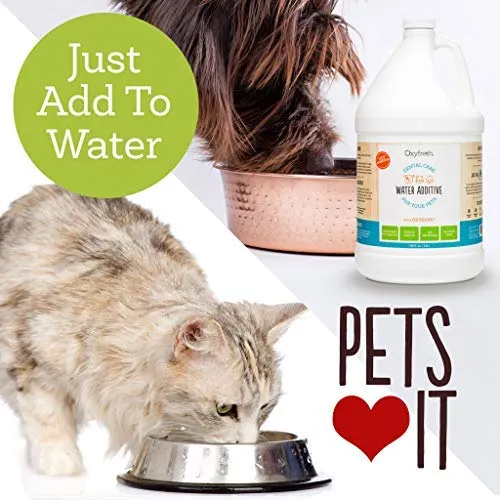 Oxyfresh Premium Pet Dental Care Solution: la mejor manera de eliminar el mal aliento de perro y el aliento de gato – lucha contra el tártaro, la placa y la enfermedad de las encías. - ¡Tan fácil, sólo tienes que añadir al agua! Recomendado por Vet.