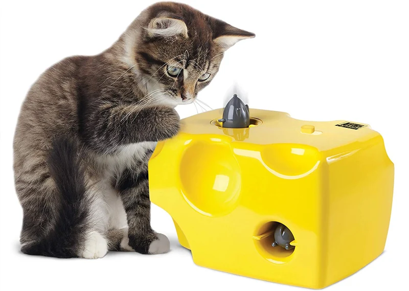 Animal Planet automático Peek A Boo – Queso juguete para gatos, características integrado función de apagado automático, Pop fuera ratones para horas de entretenimiento, jugar todo el día modo de W/de distancia, funciona con pilas