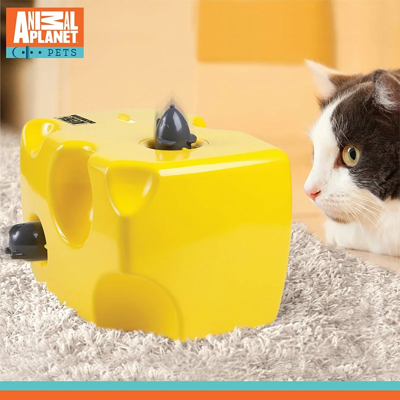 Animal Planet automático Peek A Boo – Queso juguete para gatos, características integrado función de apagado automático, Pop fuera ratones para horas de entretenimiento, jugar todo el día modo de W/de distancia, funciona con pilas