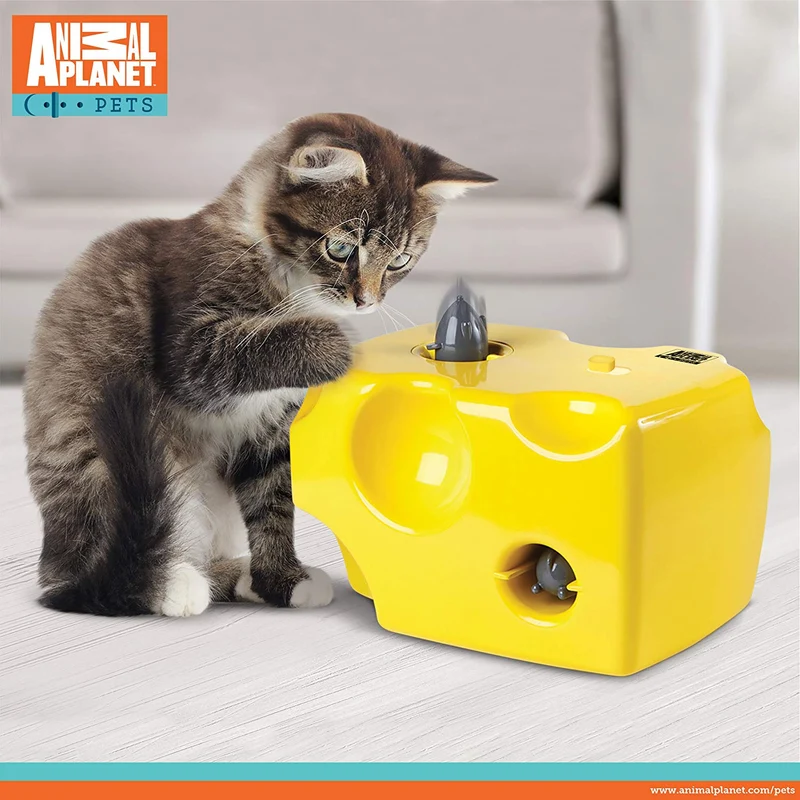 Animal Planet automático Peek A Boo – Queso juguete para gatos, características integrado función de apagado automático, Pop fuera ratones para horas de entretenimiento, jugar todo el día modo de W/de distancia, funciona con pilas