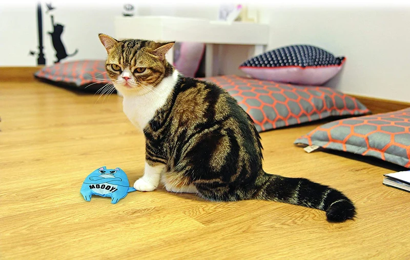 Kong refillables Purrsonality Moody juguete de gato