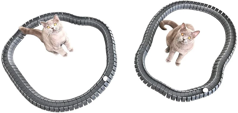 Magic Cat Track y pelota tamaño doble, juguete para gatos, Gatos, Mascotas, Kitties, que consta de 16 'flexible pistas y 4 bolas)